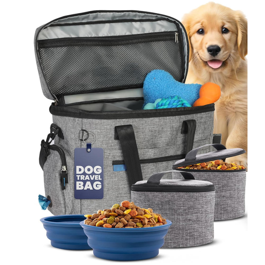 PawVoyage Kit
