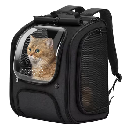 PawVista Carrier