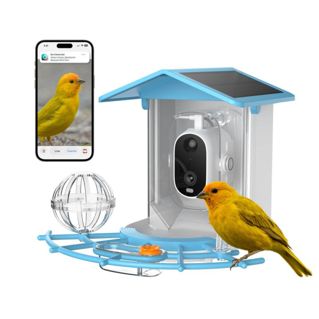 BirdView Feeder