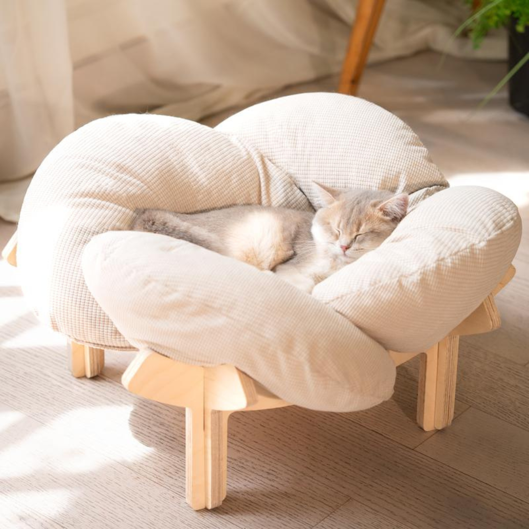 BloomPurr Bed
