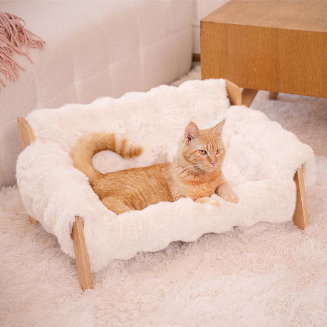 PawLounge Bed