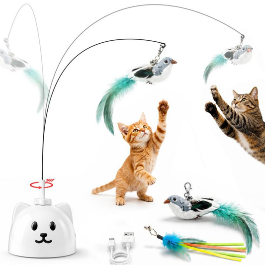 PurrPlay Toy