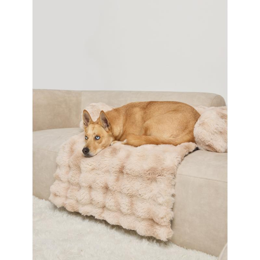 SnuggleNest Lounger