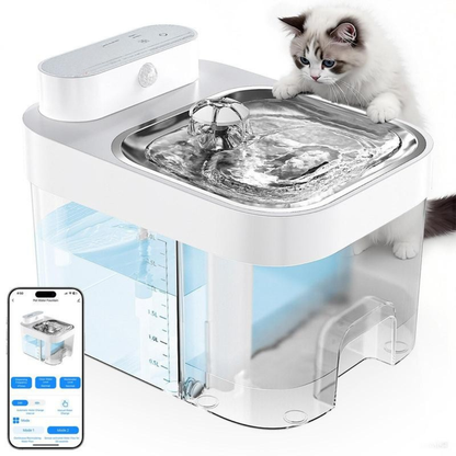 WhiskerSpring Fountain