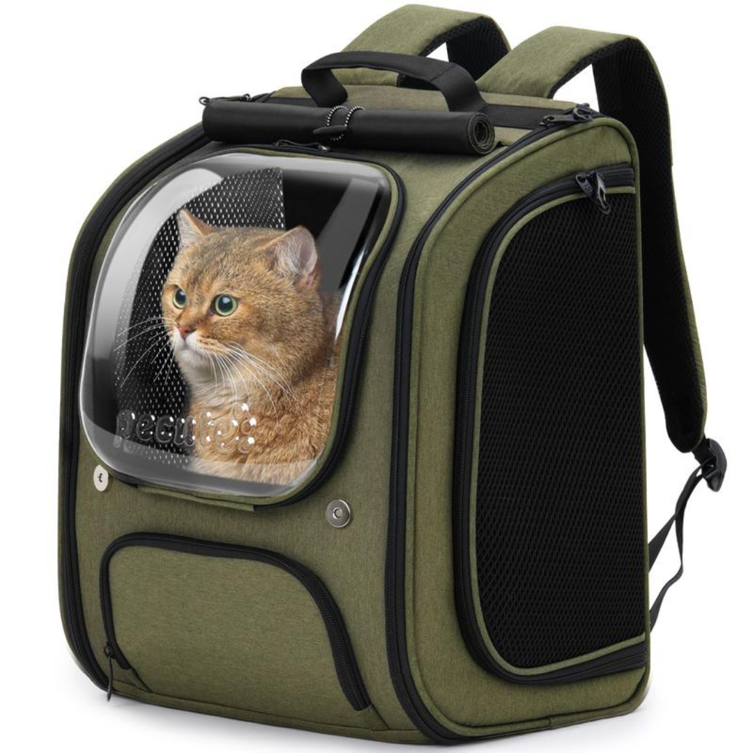 PawVista Carrier
