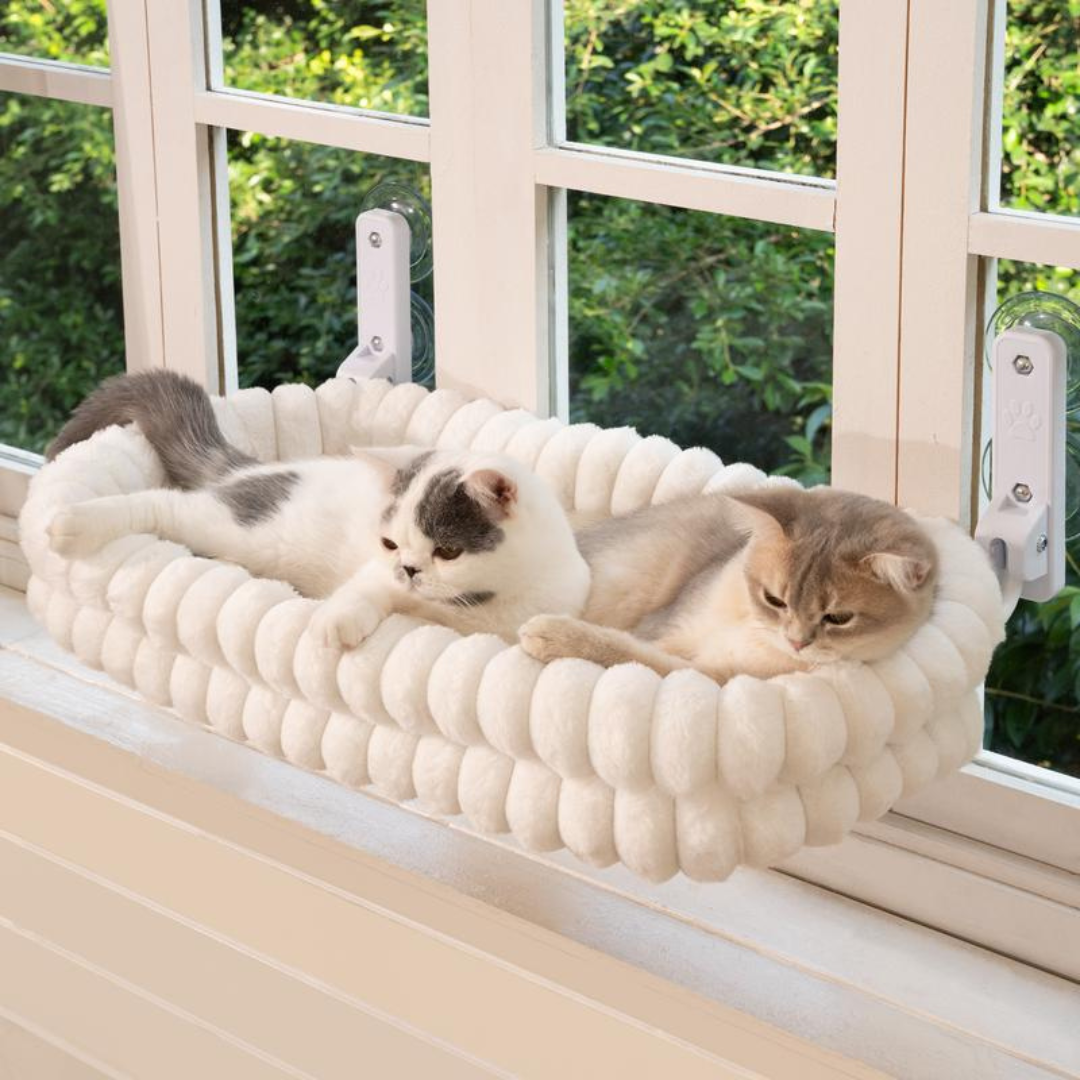WindowPurr Hammock