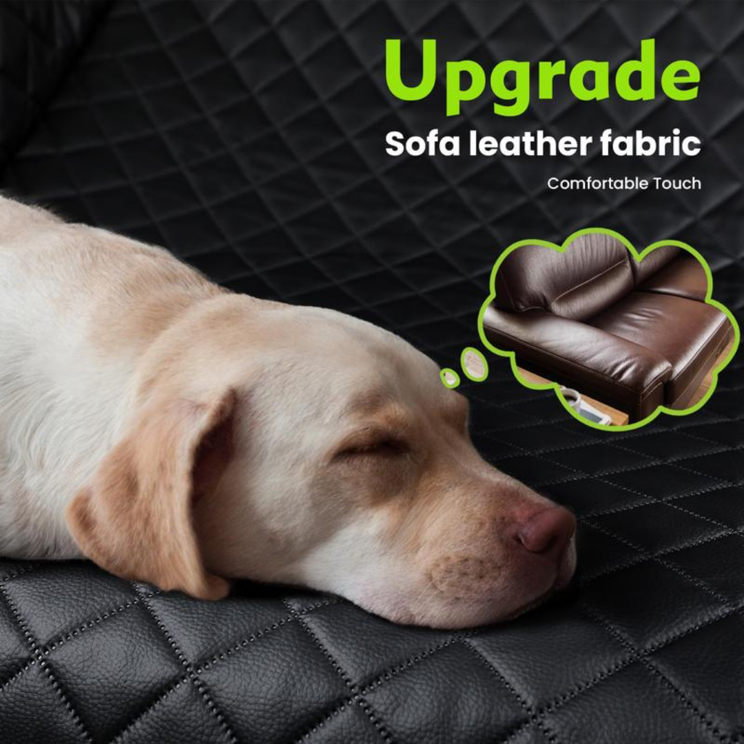 PawRide Hammock
