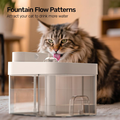 WhiskerSpring Fountain