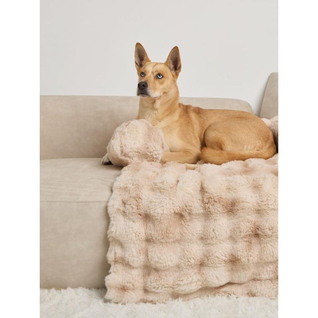 SnuggleNest Lounger