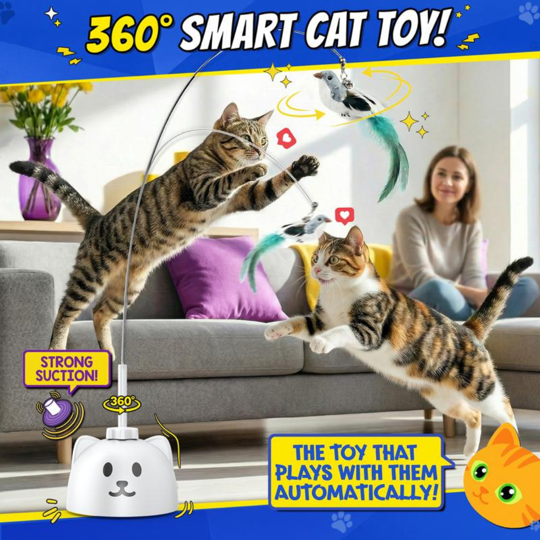 PurrPlay Toy