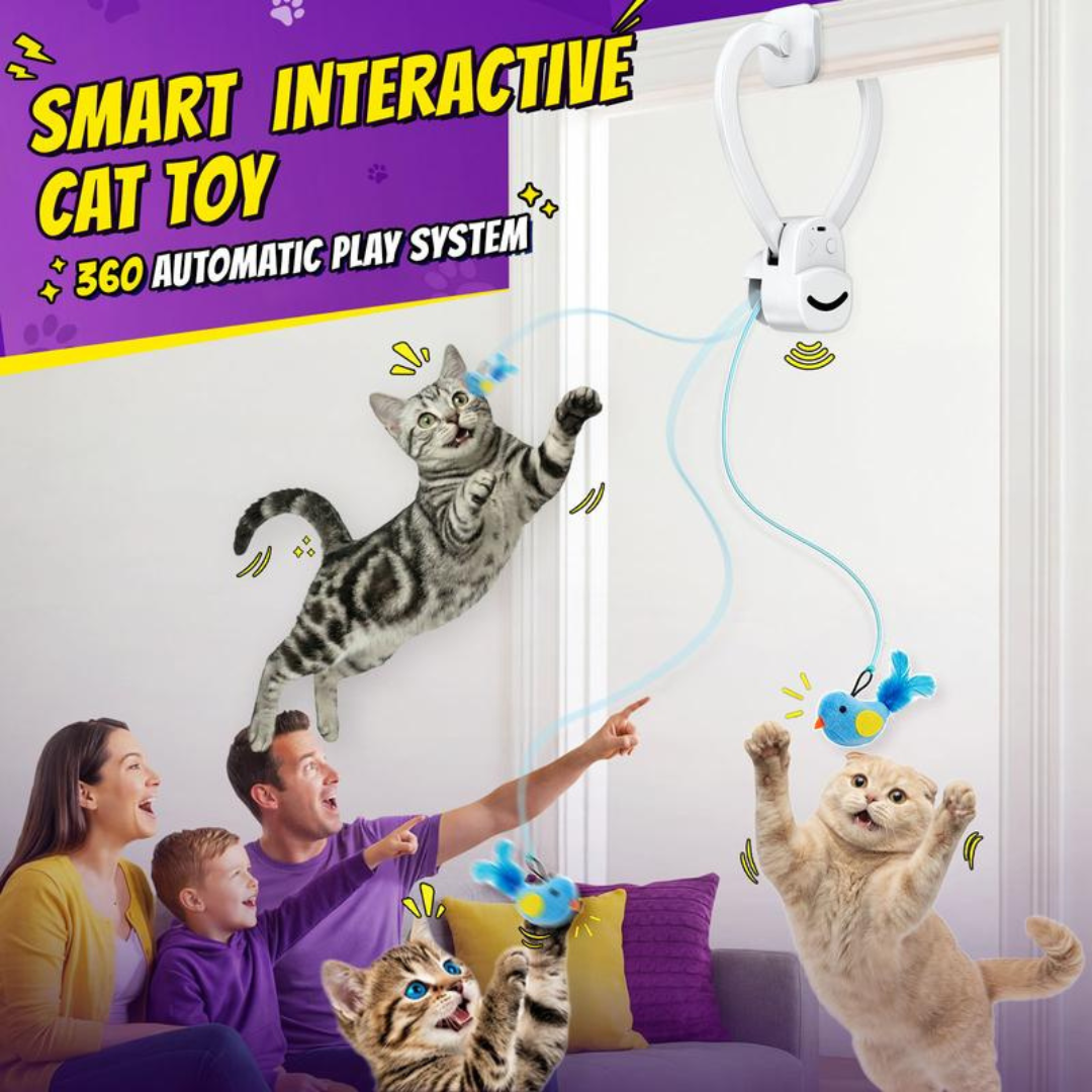 PurrChase Toy