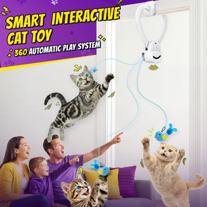 PurrChase Toy