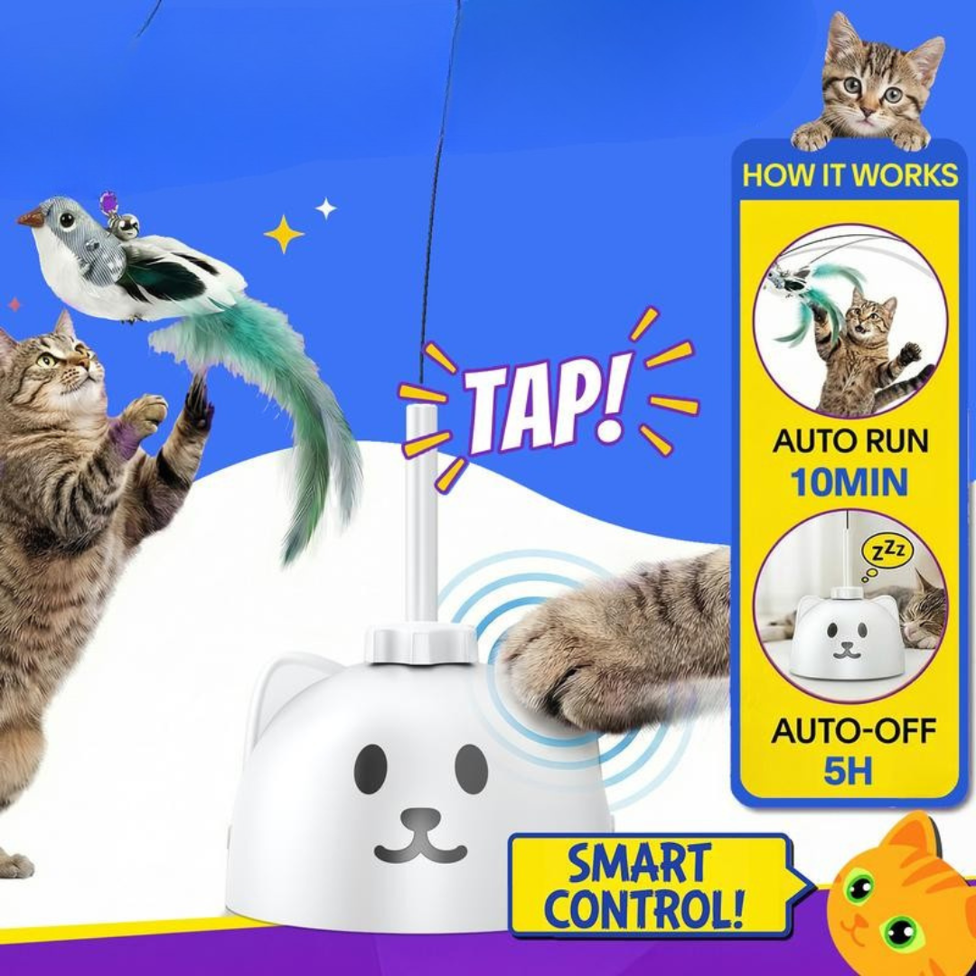 PurrPlay Toy