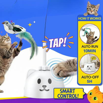 PurrPlay Toy