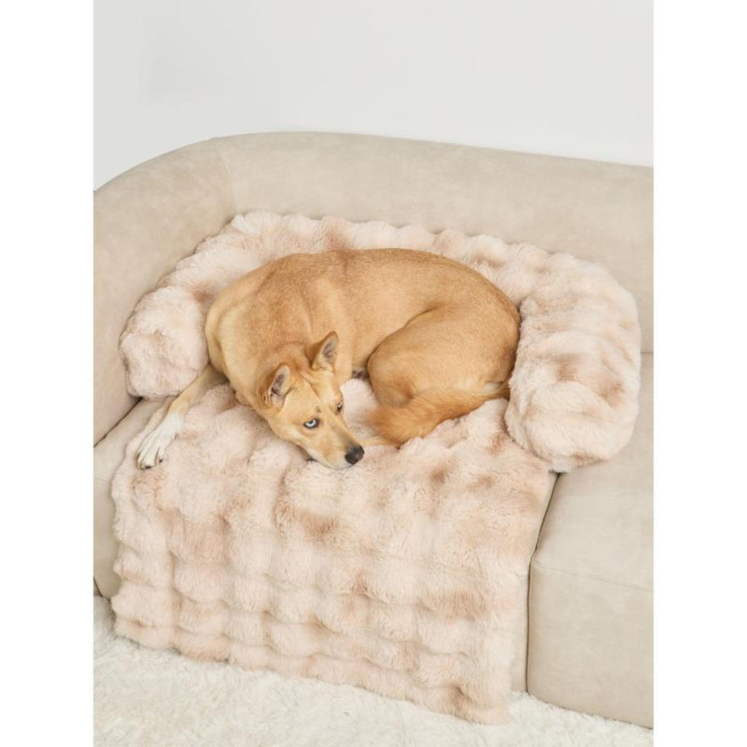 SnuggleNest Lounger