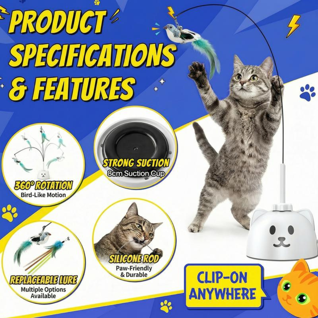PurrPlay Toy