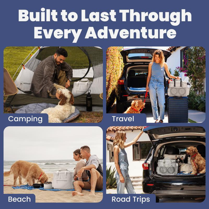 PawVoyage Kit
