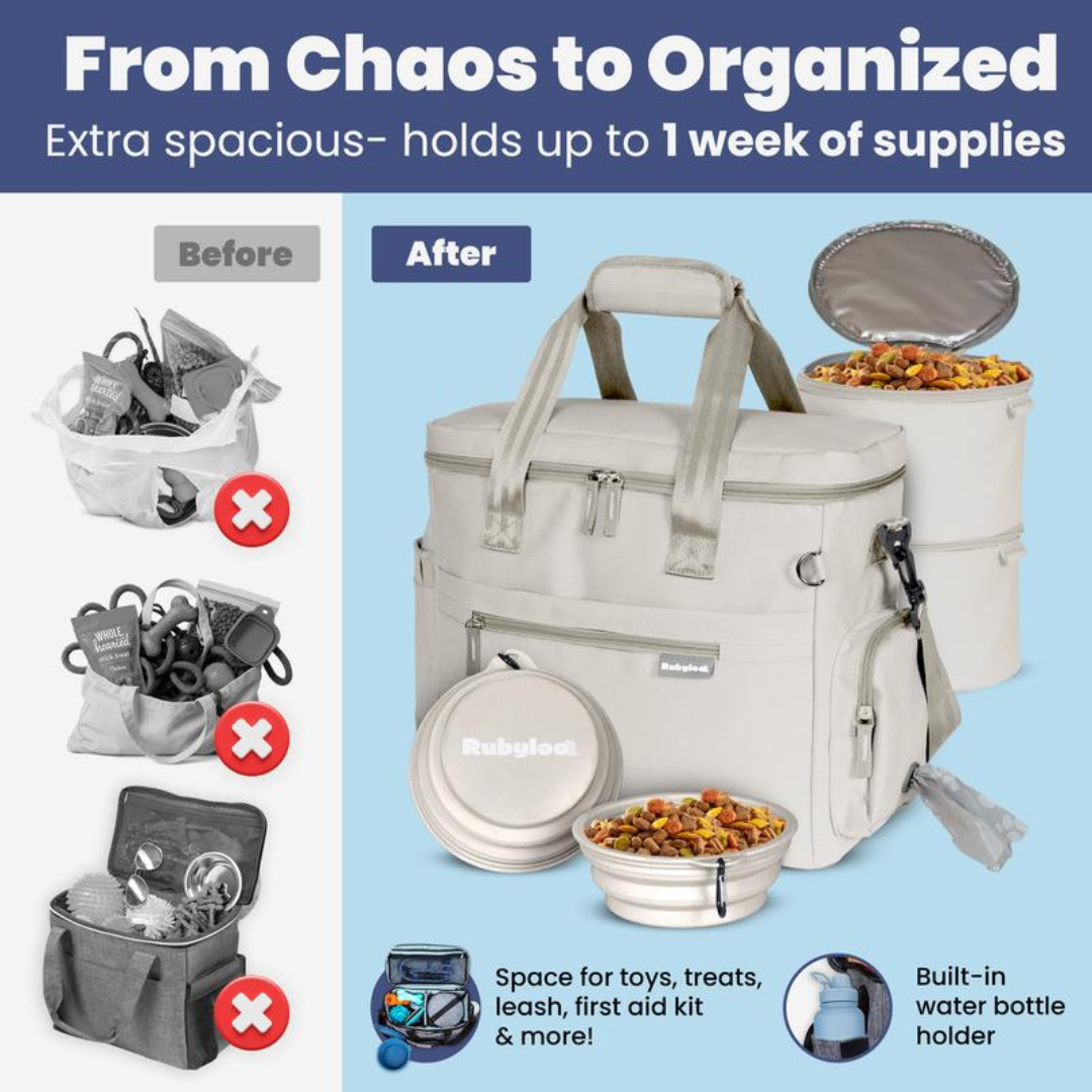 PawVoyage Kit