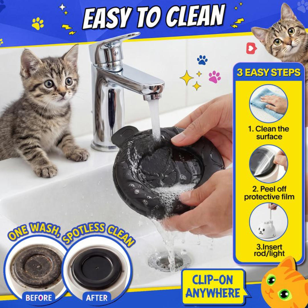 PurrPlay Toy