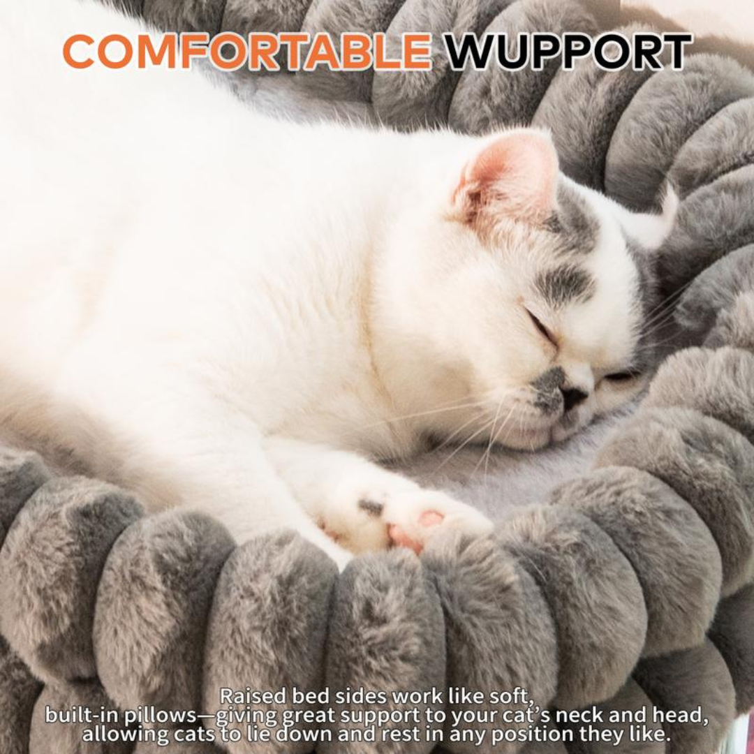 WindowPurr Hammock