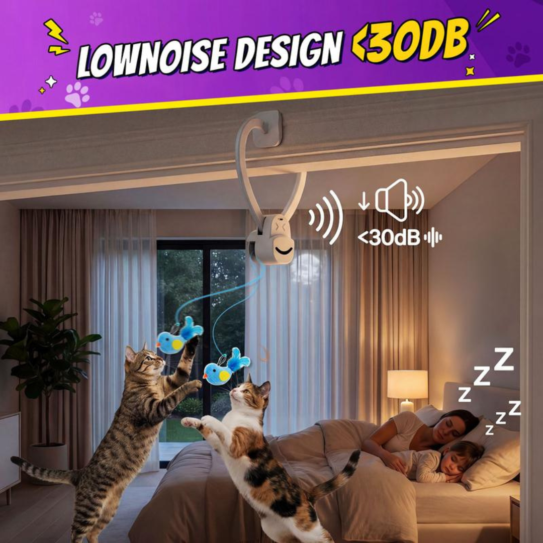 PurrChase Toy