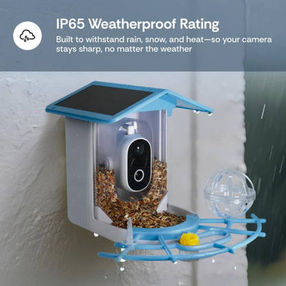 BirdView Feeder