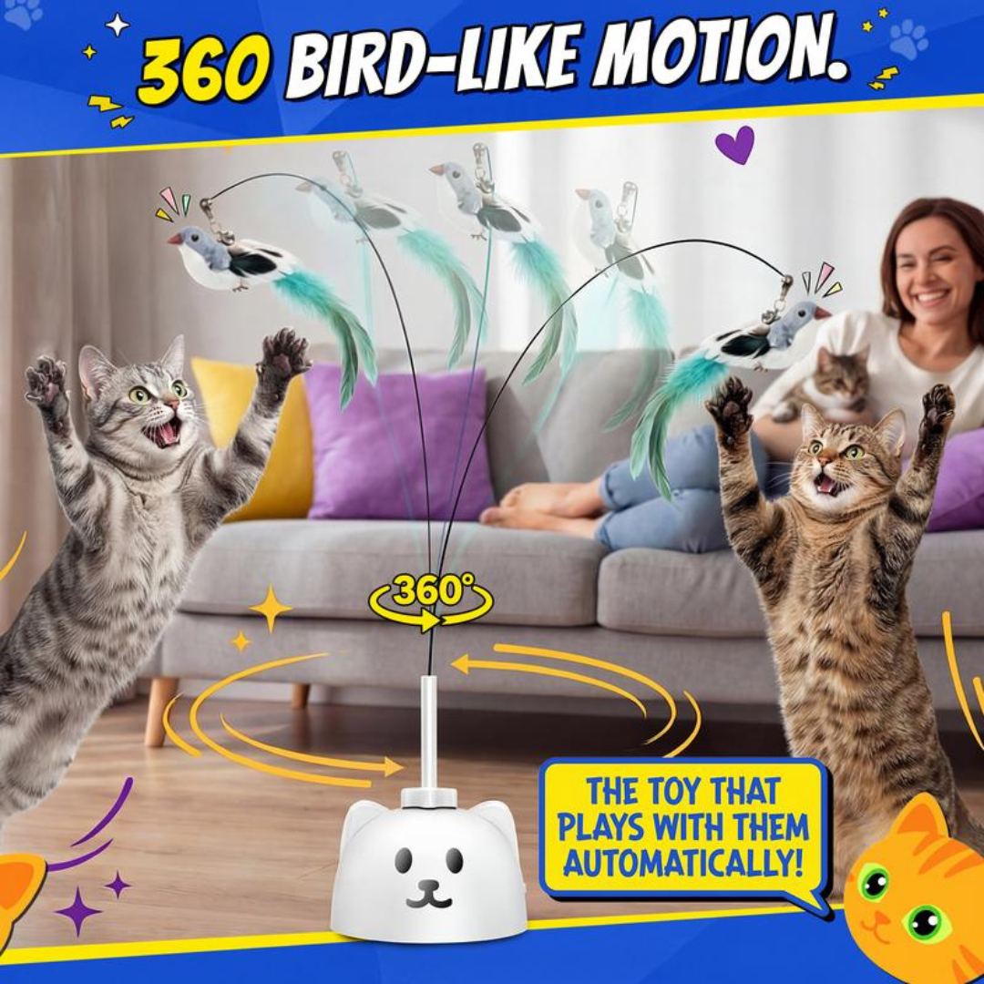 PurrPlay Toy