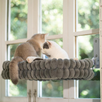 WindowPurr Hammock
