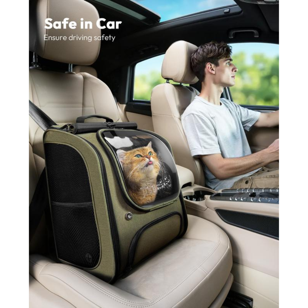 PawVista Carrier