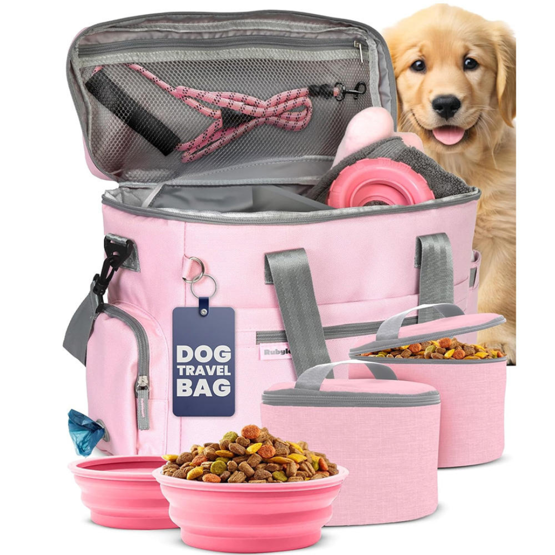 PawVoyage Kit