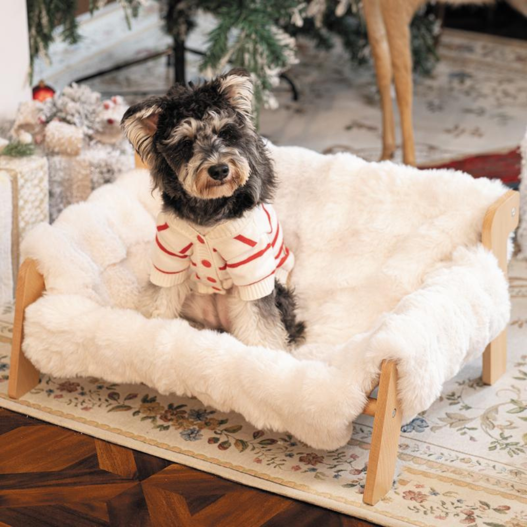 PawLounge Bed