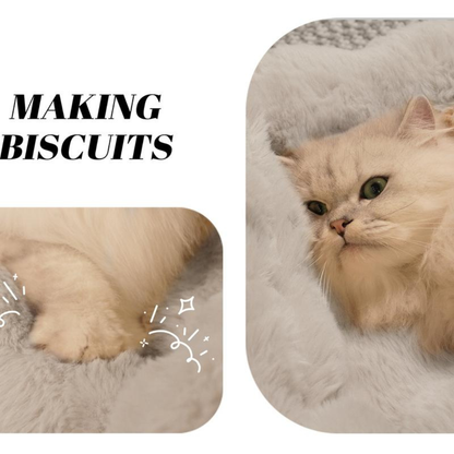 PawLounge Bed