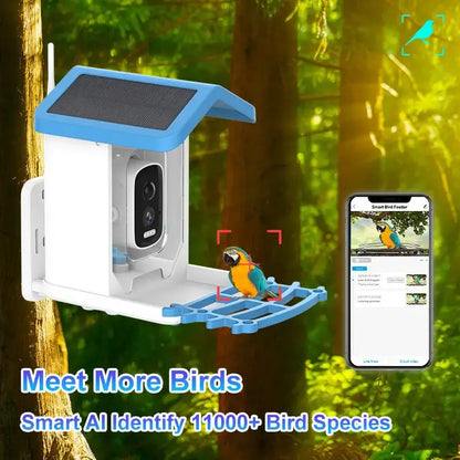 BirdView Feeder